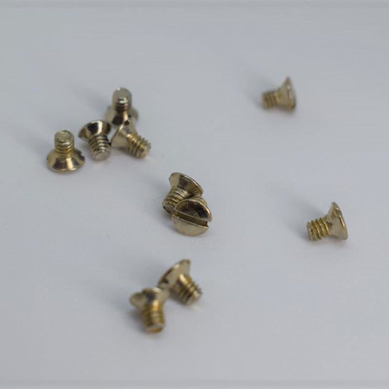 DUPLEX Spoon Bracket Screw