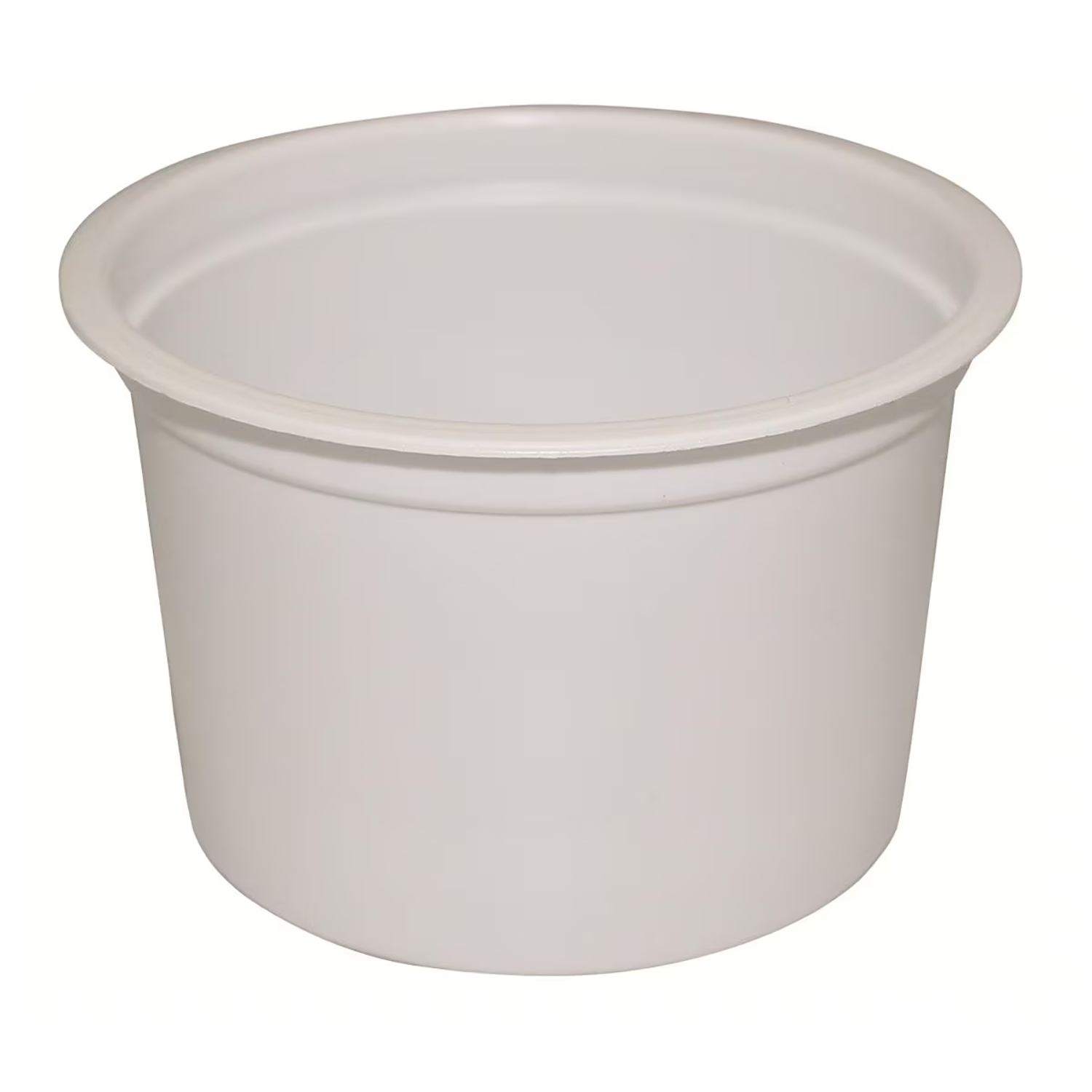 Denture Container | 250ml | Single