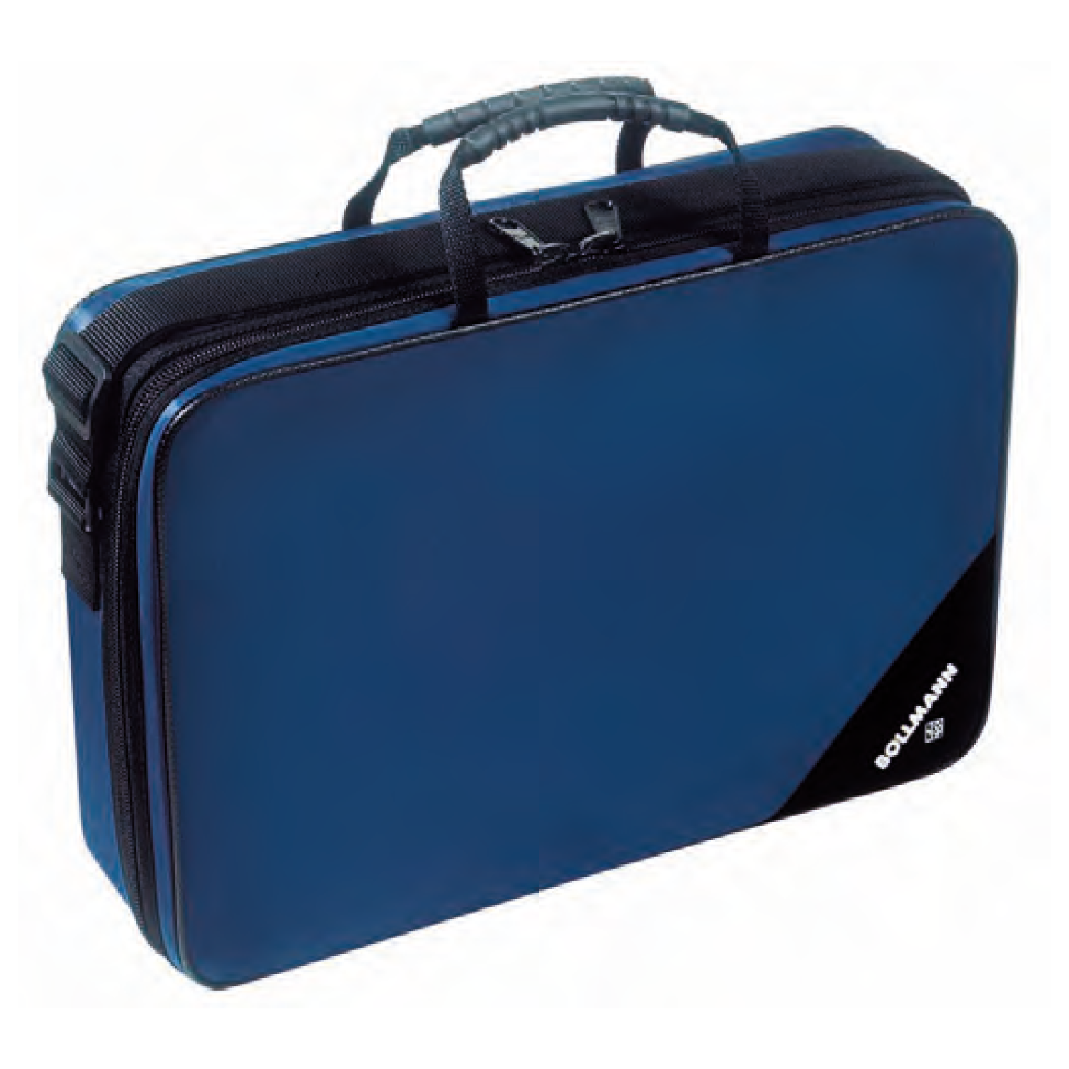 Bollmann Medicare Case | Blue