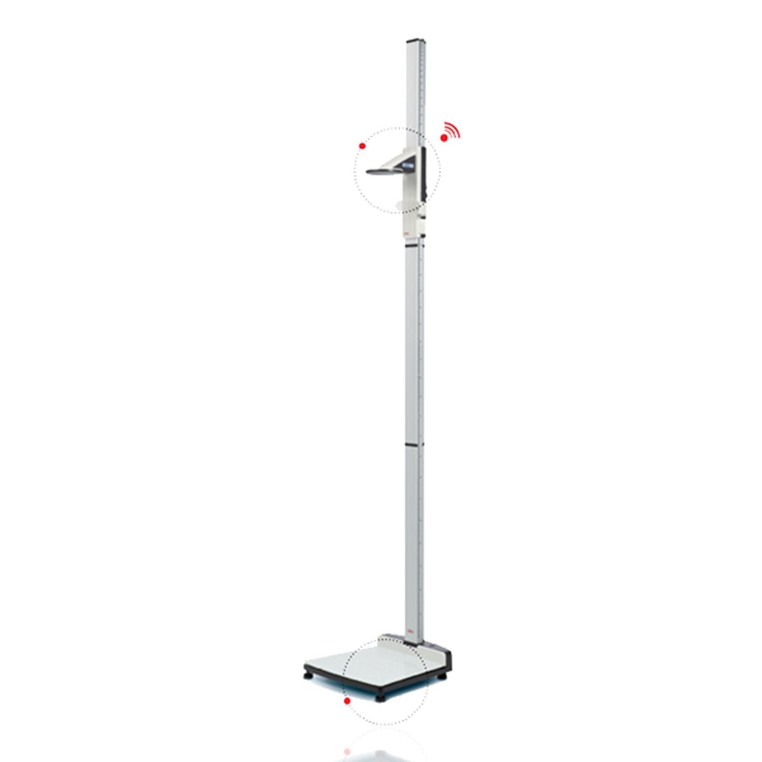 seca 274 Digital Free-Standing Stadiometer with Wireless Connectivity