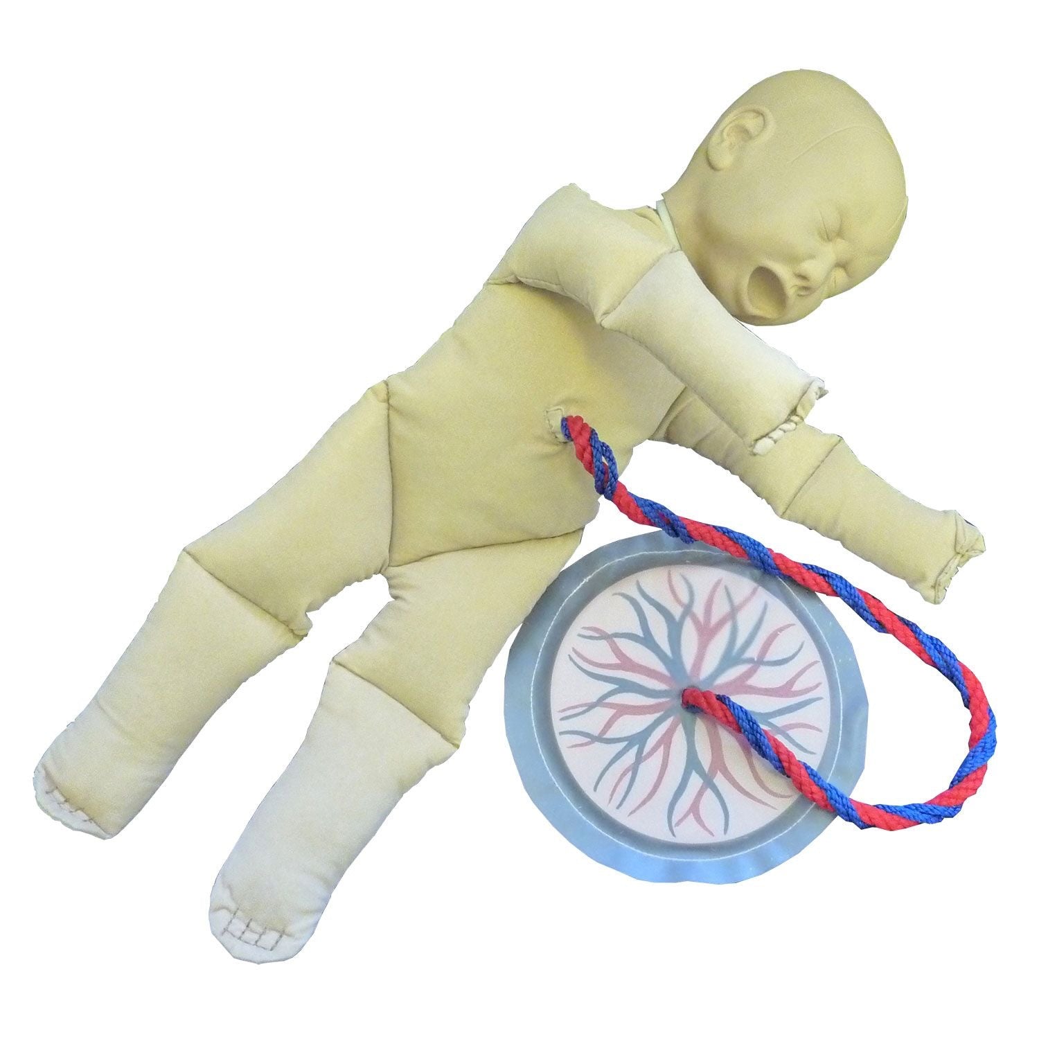 Foetal Doll with Placenta